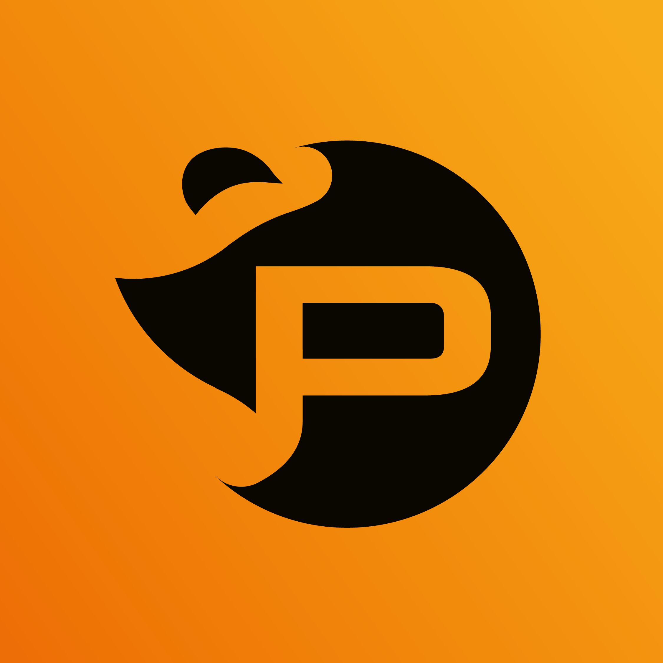 Pyreplay - logo